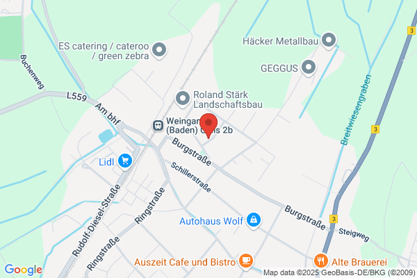 Martin Timo wellness-meeting-point.de