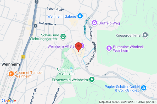 Trainer und Coaching