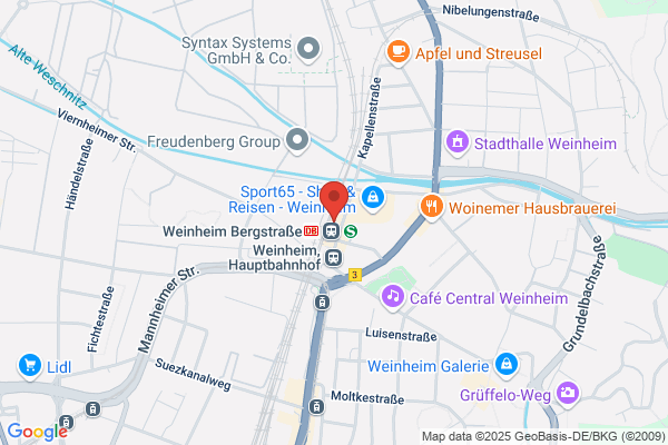 www.fritz-bikes.com