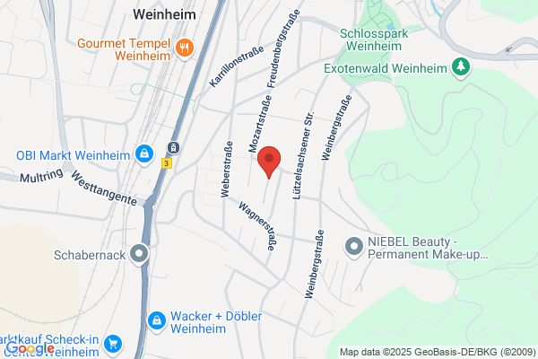 Dipl.-Geol. Wolfgang J. Fleischmann