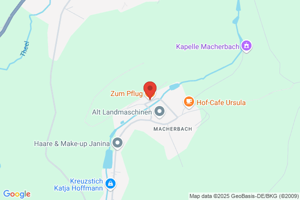 Zum Pflug