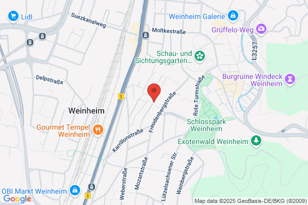 Wegener Tankred Dr. Consulting HMP
