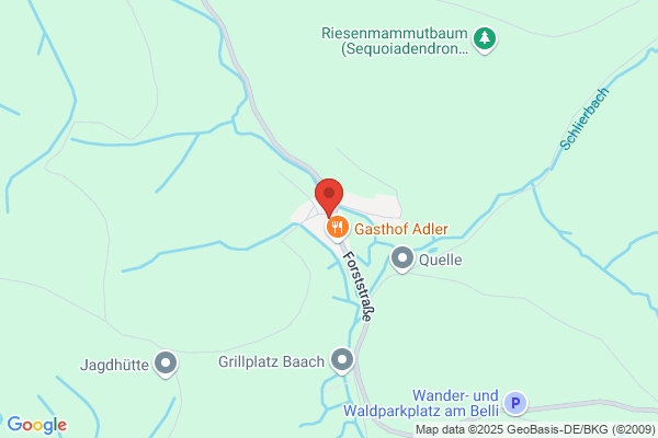 Am Marktplatz Volker Schanz