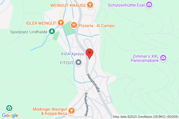 Autohaus Dannenmann OHG
