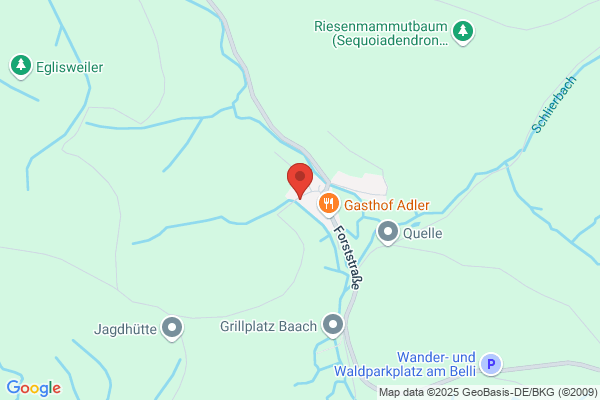 Baacher Mühle Forellen
