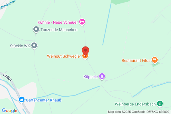 Dentz Maschinensysteme GmbH