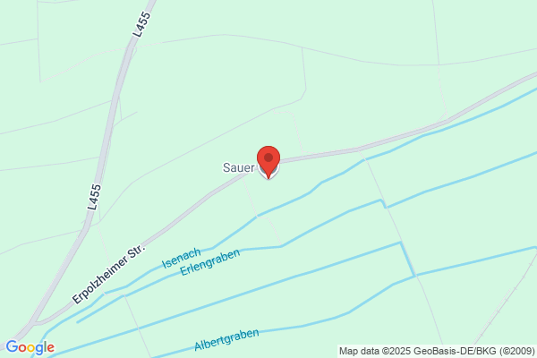 Sauer