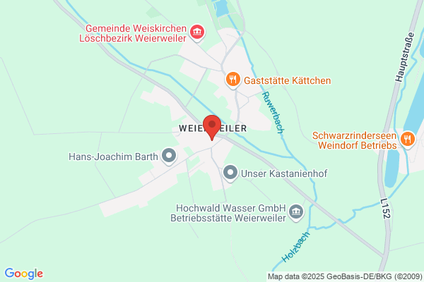 Elke Kammer