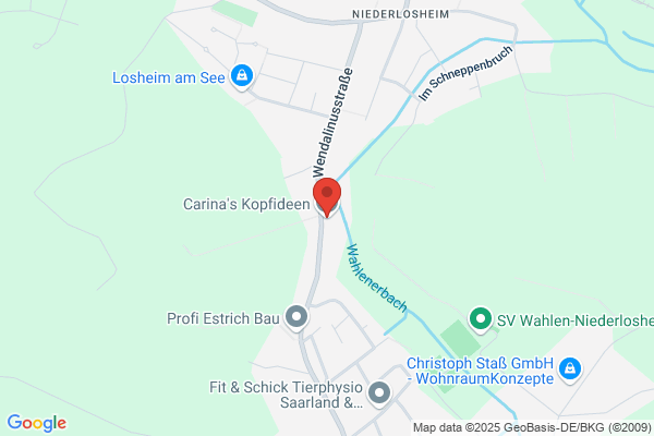 Carina's Kopfideen