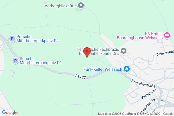 Forchenhof Alpakas