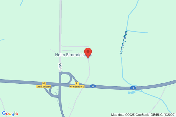 Holm Bimmrich