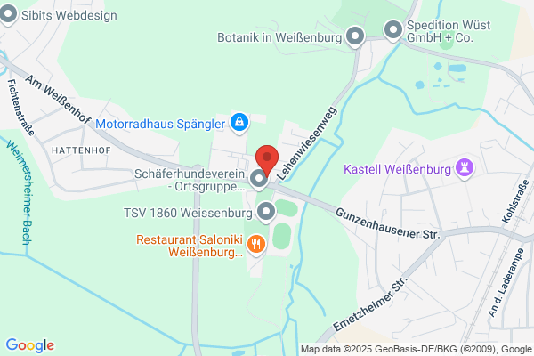 Fahrschule Blitz
