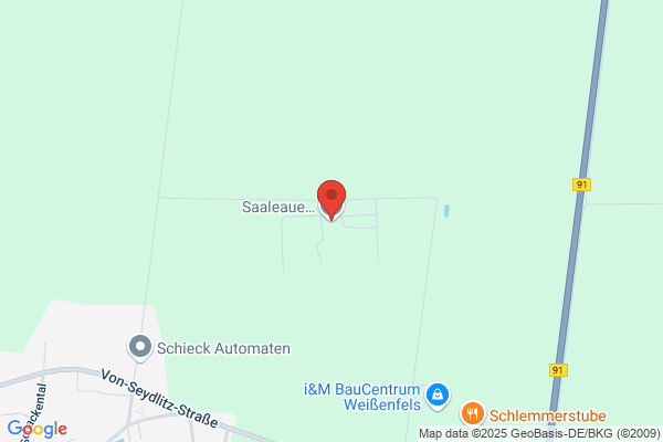 Saaleaue