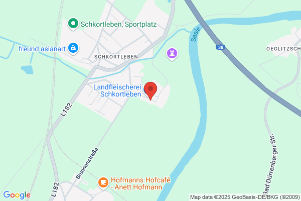 Kita Schkortleben