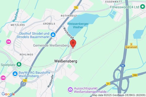 Dr. Steffen Walliser