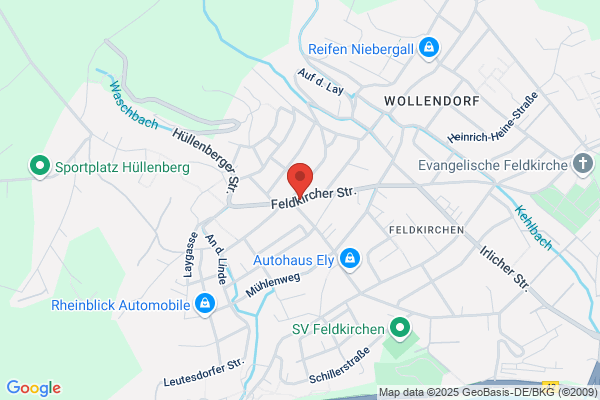 Geisen