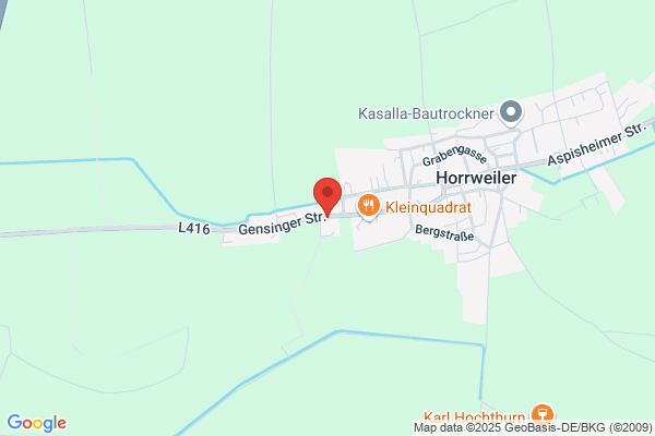 Georg Gaul