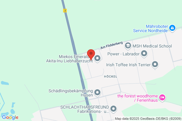 Malermeisterfachbetrieb M. Wentzien