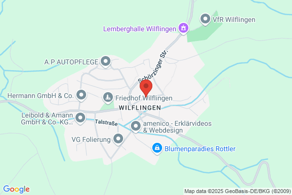 Ing. Fred P. Langheinrich