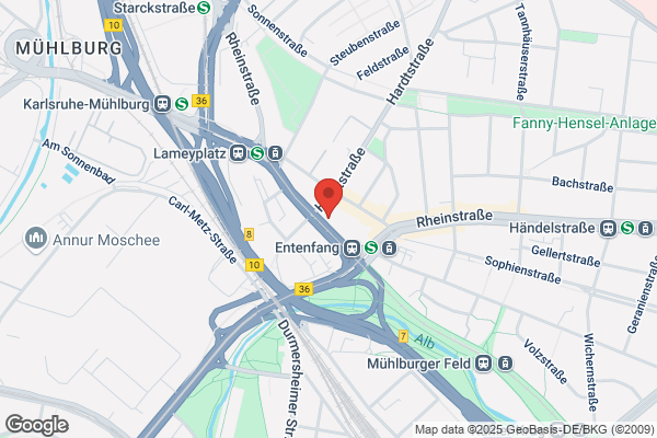 Dr.med.dent. Walter Ackermann