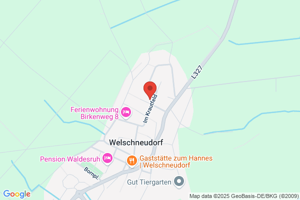 Bauchtänzerin Alyasha