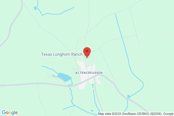 Rinderhorn.de