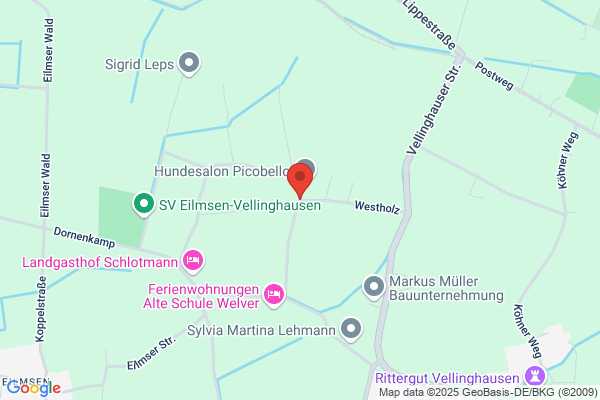 Marohn-Verwaltungs GmbH & Co. KG