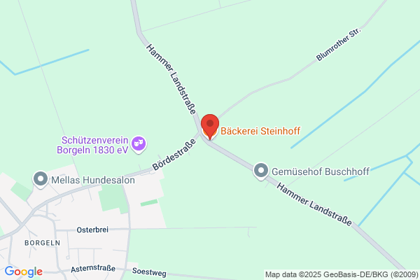 Aschoff Begrünungstechnik
