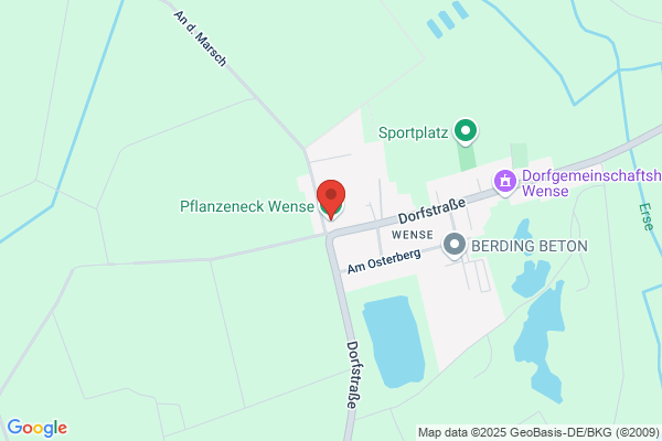 Pflanzeneck Wense