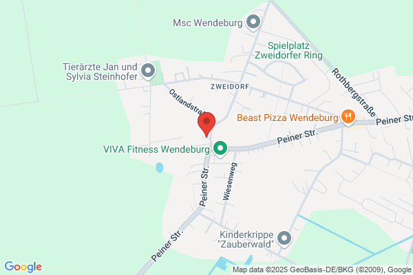 Diederichs Zurich-Gruppe