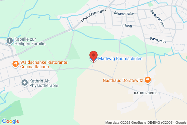 Klaus Mathwig