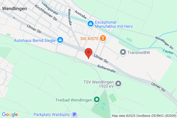 Online-System- und Datenservice