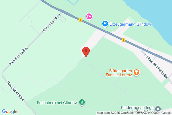Heilpraktikerin Dana Hafenberg