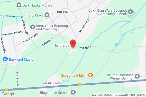 Heilpferde