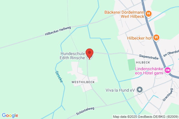 Dedektei Rinsche