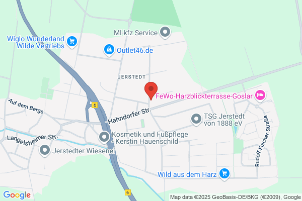 Harzblick