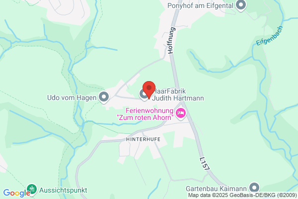 Hollywood Limousinen-Service Oldtimervermietung