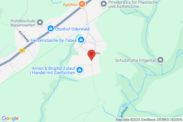 Willems Wirtschaftsberatungs- GmbH