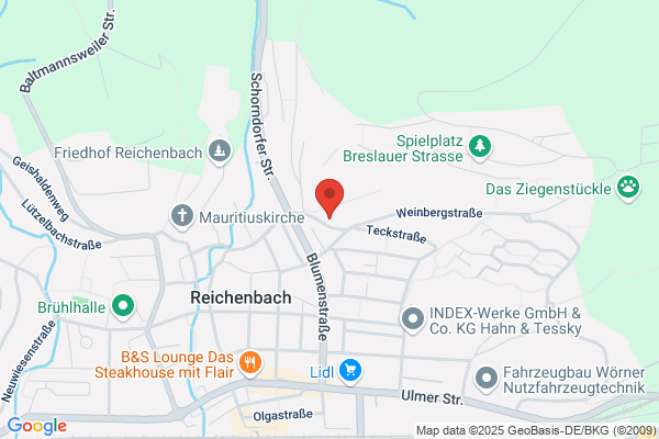 Bitzenauer Consulting