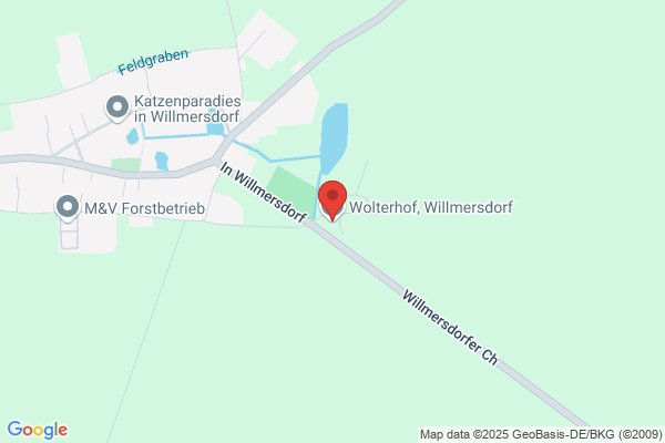 Bringfried Wolter