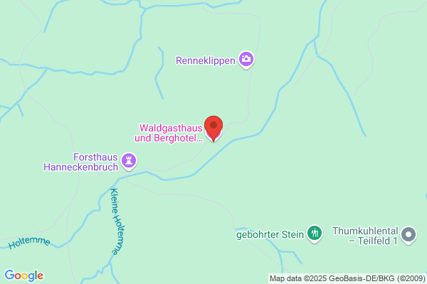 Hotel und Waldgasthaus Steinerne Renne