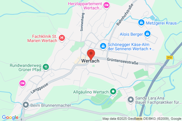 Feichtinger