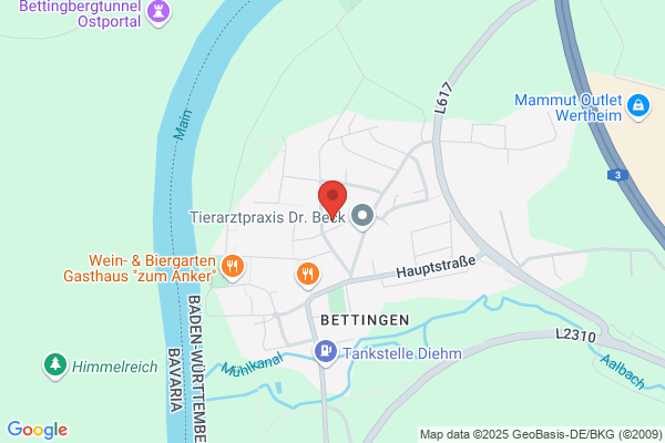 Sabine Junginger, Armin Henne