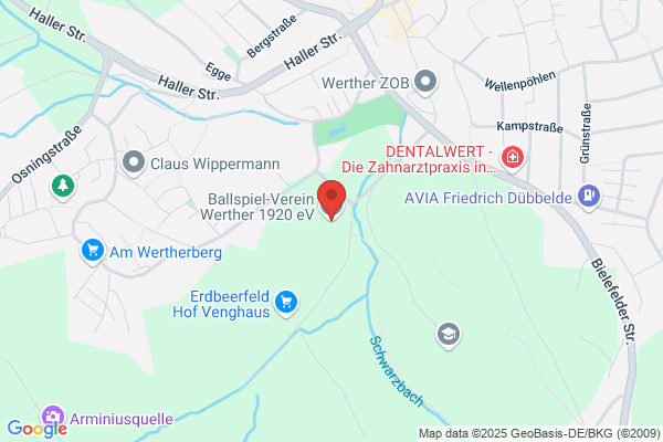 Ballspiel-Verein Werther 1920 e.V.