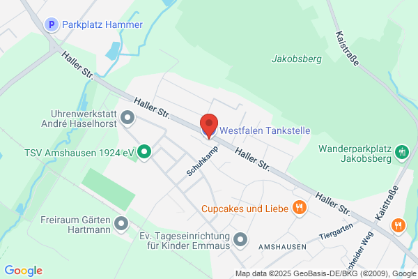 Westfalen Tankstelle