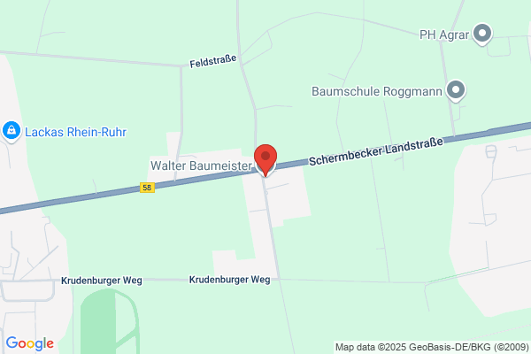 Rolf Baumeister