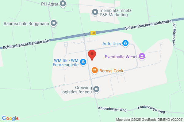 Rijngas bv Ndl. Wesel