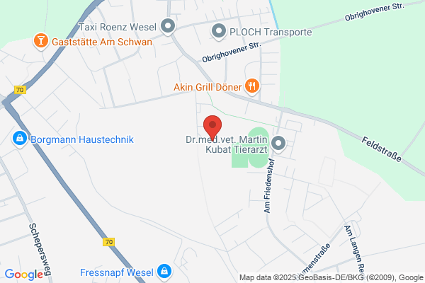 Gesamtschule am Lauerhaas