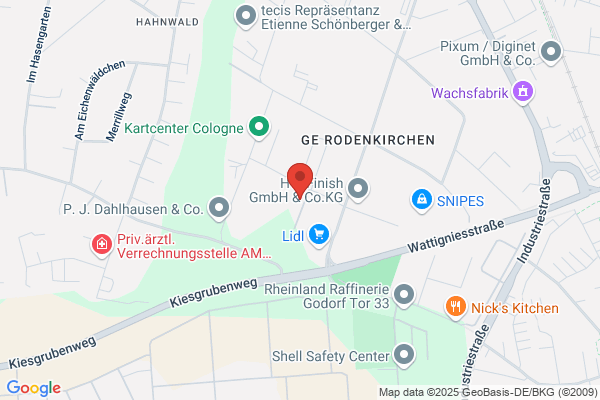 Nwr Nutzfahrzeug-Wartungs-