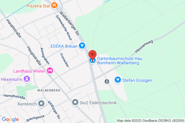 Gartenbaumschule Hau Bornheim-Walberberg